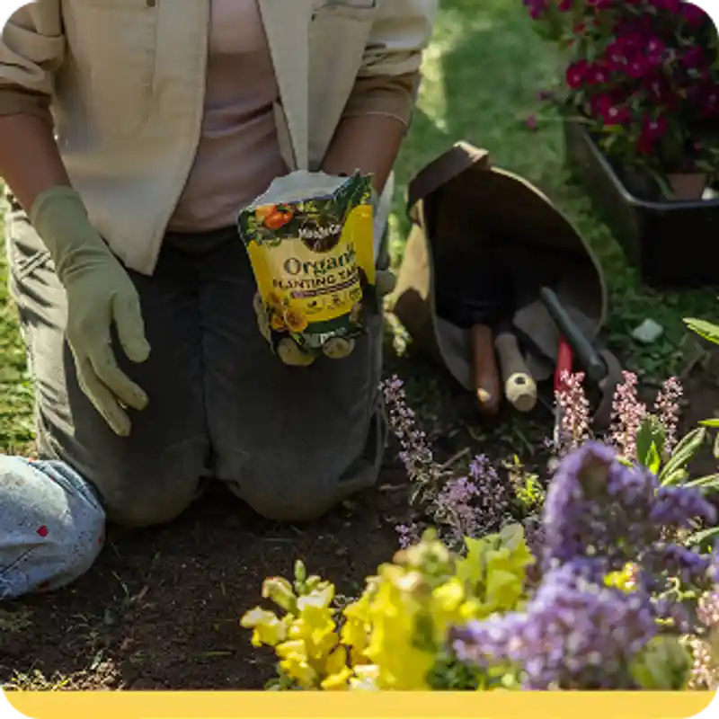Miracle-Gro