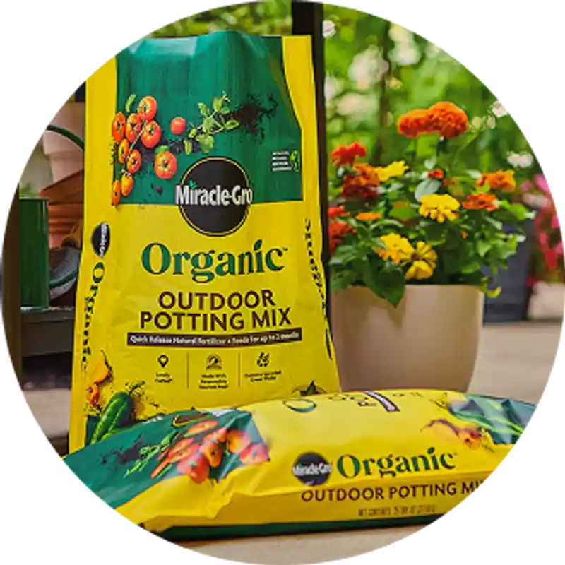 Potting Mix