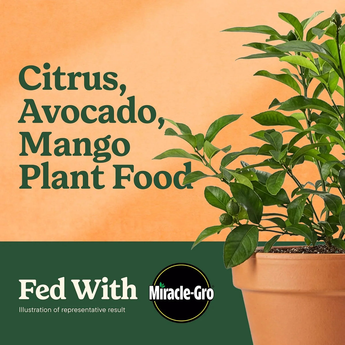 Miracle-Gro Citrus, Avocado & Mango Food, 20 lb.