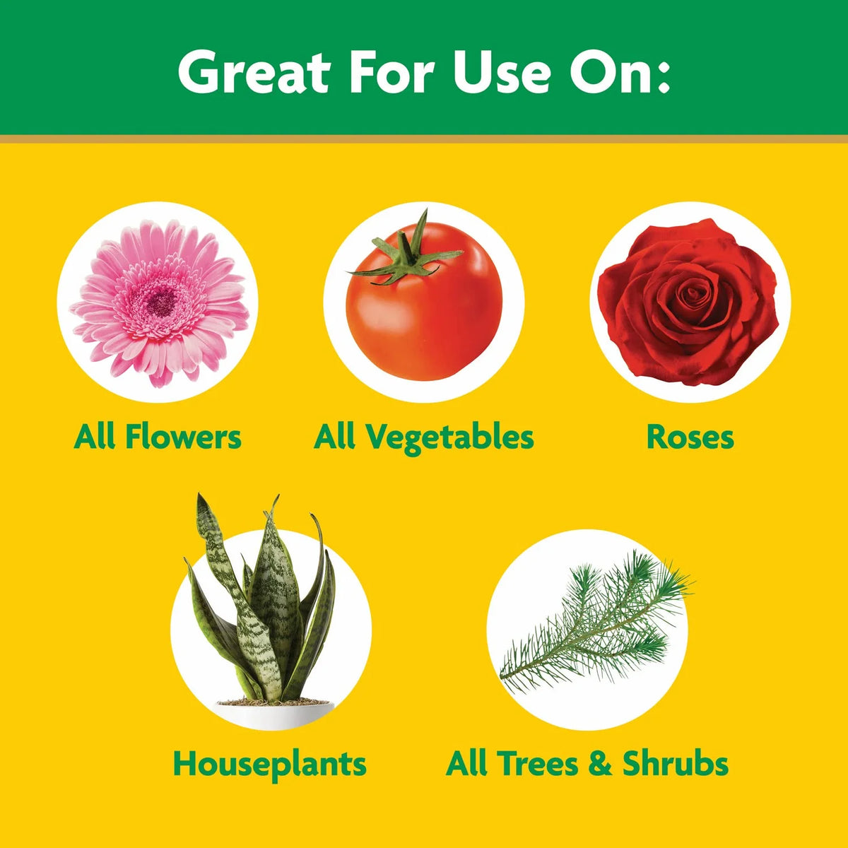 Miracle-Gro Water Soluble All Purpose Plant Food, 8 oz. (2-Pack)