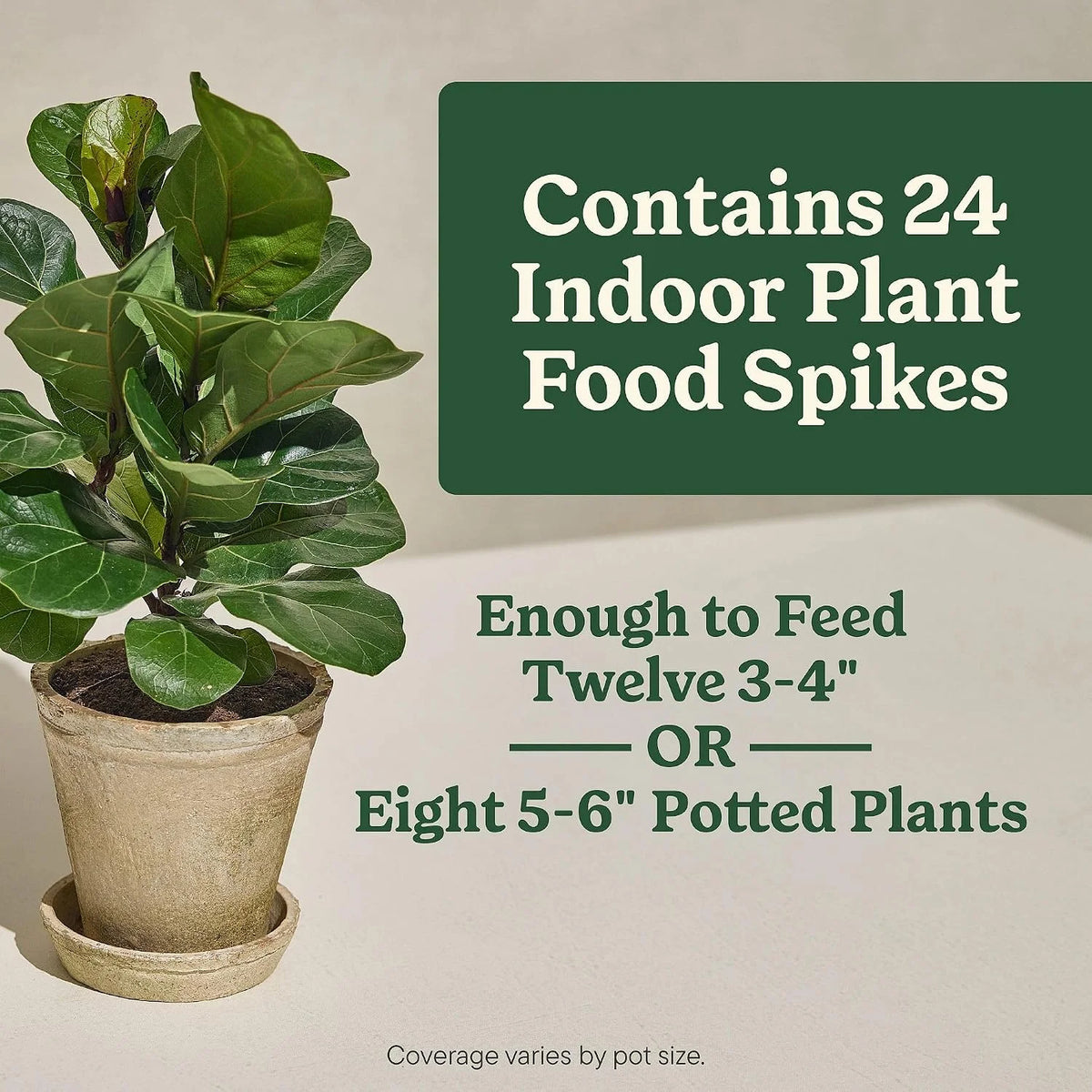 Miracle-Gro Indoor Plant Food Spikes for All Plants, 24 Spikes