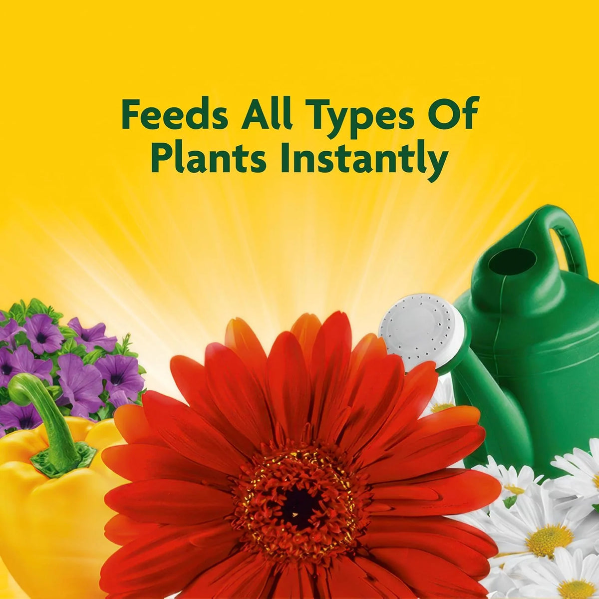 Miracle-Gro Liquid All Purpose Plant Food, Concentrate, 32 oz.