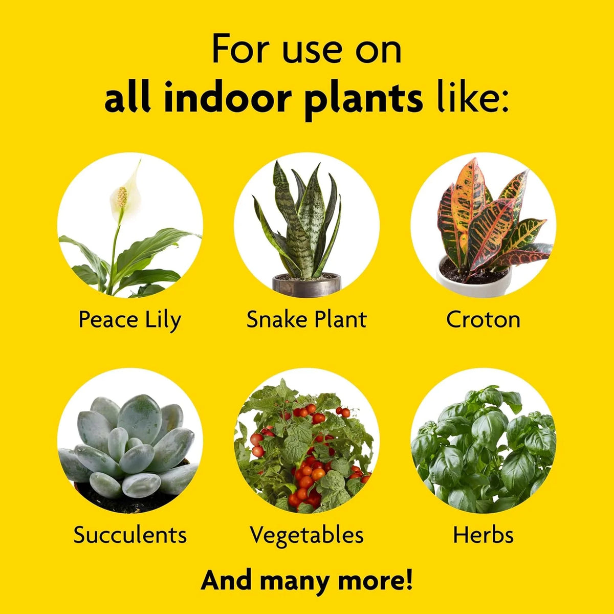 Houseplant Food, 8.4-oz. Pack of 3