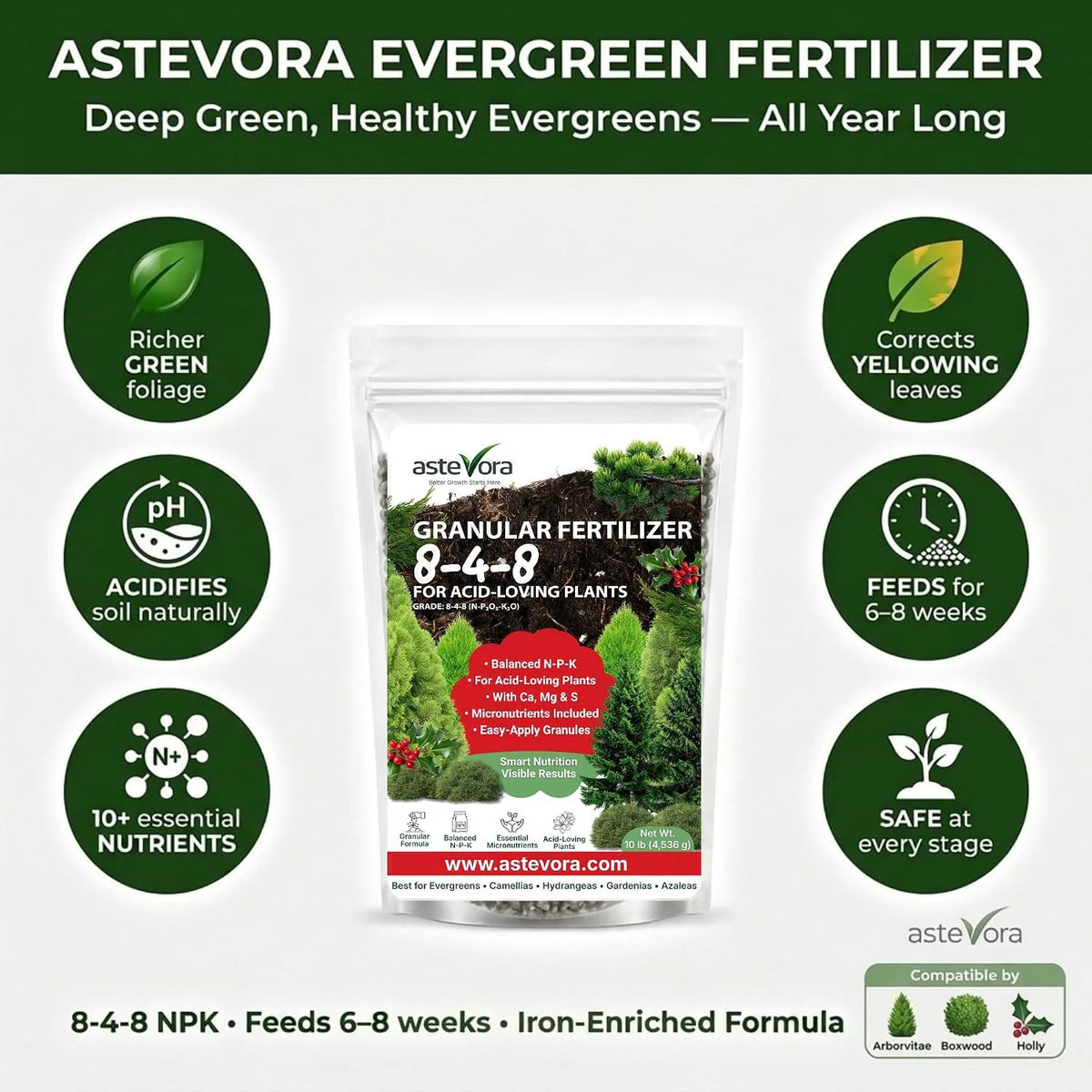 GARDENWISE 8-4-8 Acidic Fertilizer for Azaleas, Camellias (Camelia), Hydrangeas, Blueberries, Gardenias, Magnolia Trees, Evergreens, and Rhododendrons - Ideal Iron-Rich Plant Food (4 lbs~ 2 qts.)