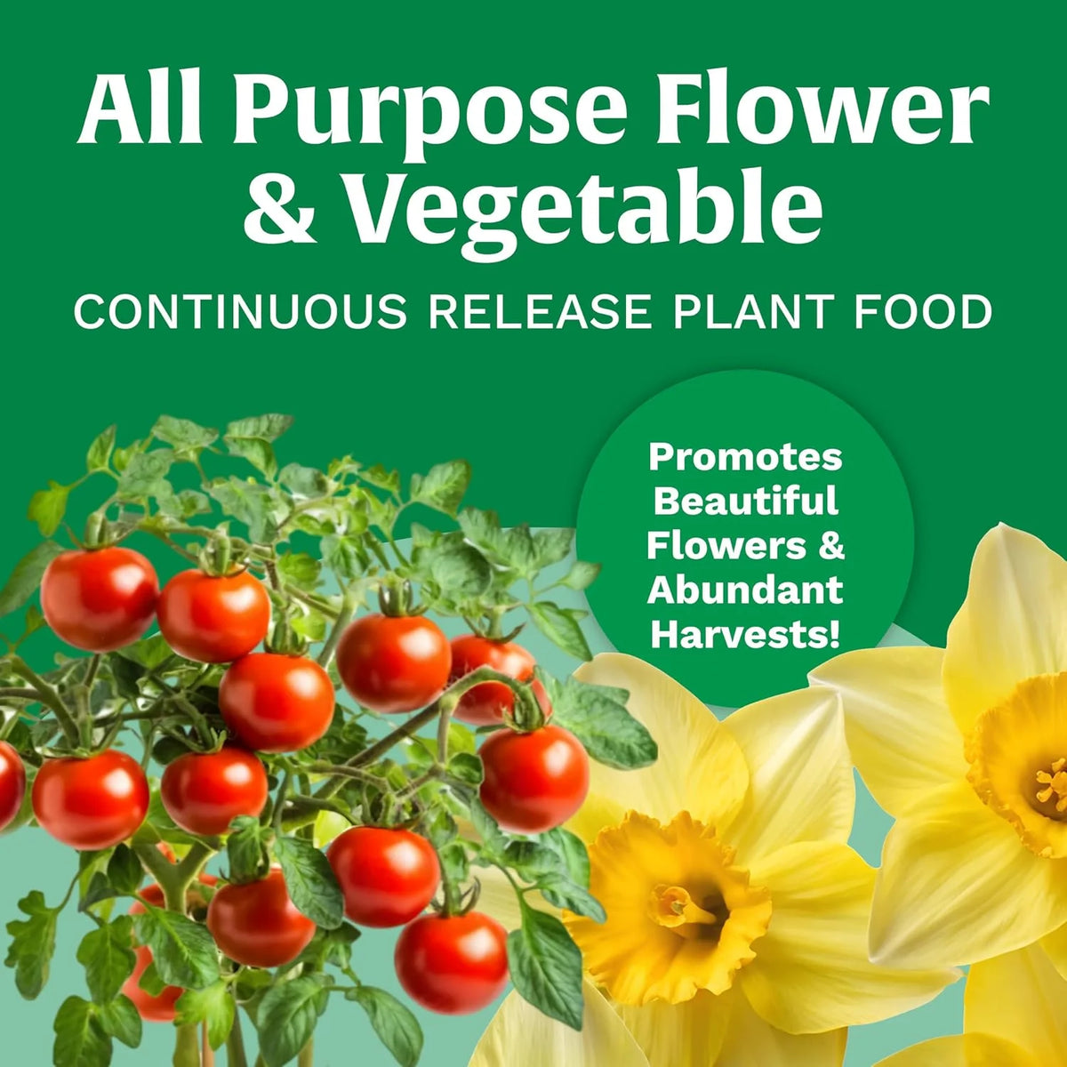 Scotts All Purpose Flower & Vegetable Continuous Release Plant Food, 3 lbs.