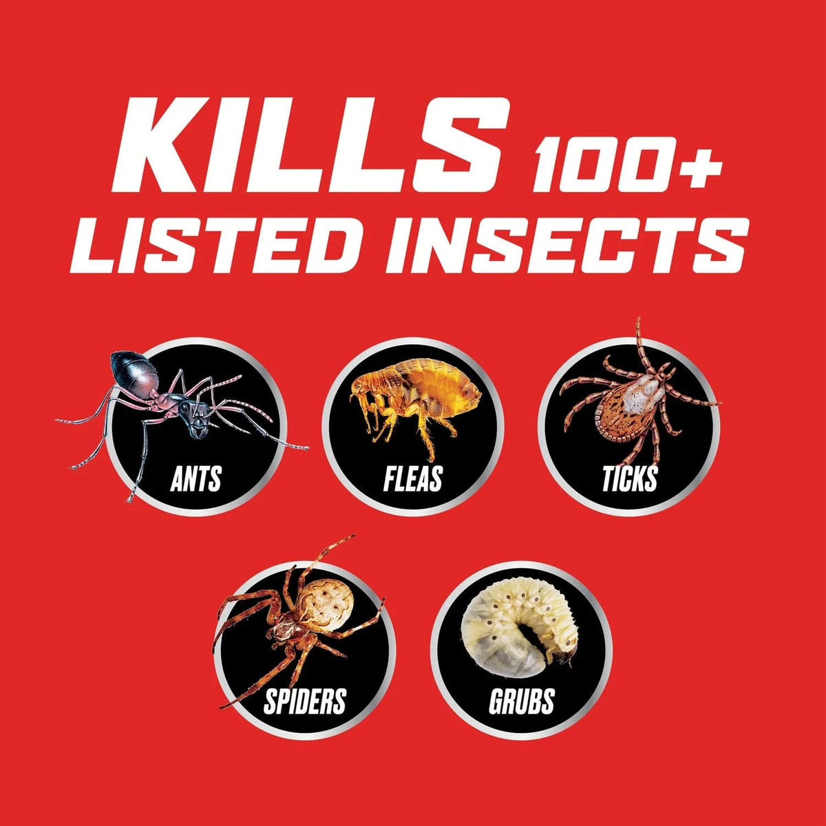 Ortho Lawn Insect Killer Granules: Treats up to 10,000 sq. ft, for Yard, Garden & Landscapes, Works on Listed Ants, Spiders, Fleas & Ticks, 10 lbs.