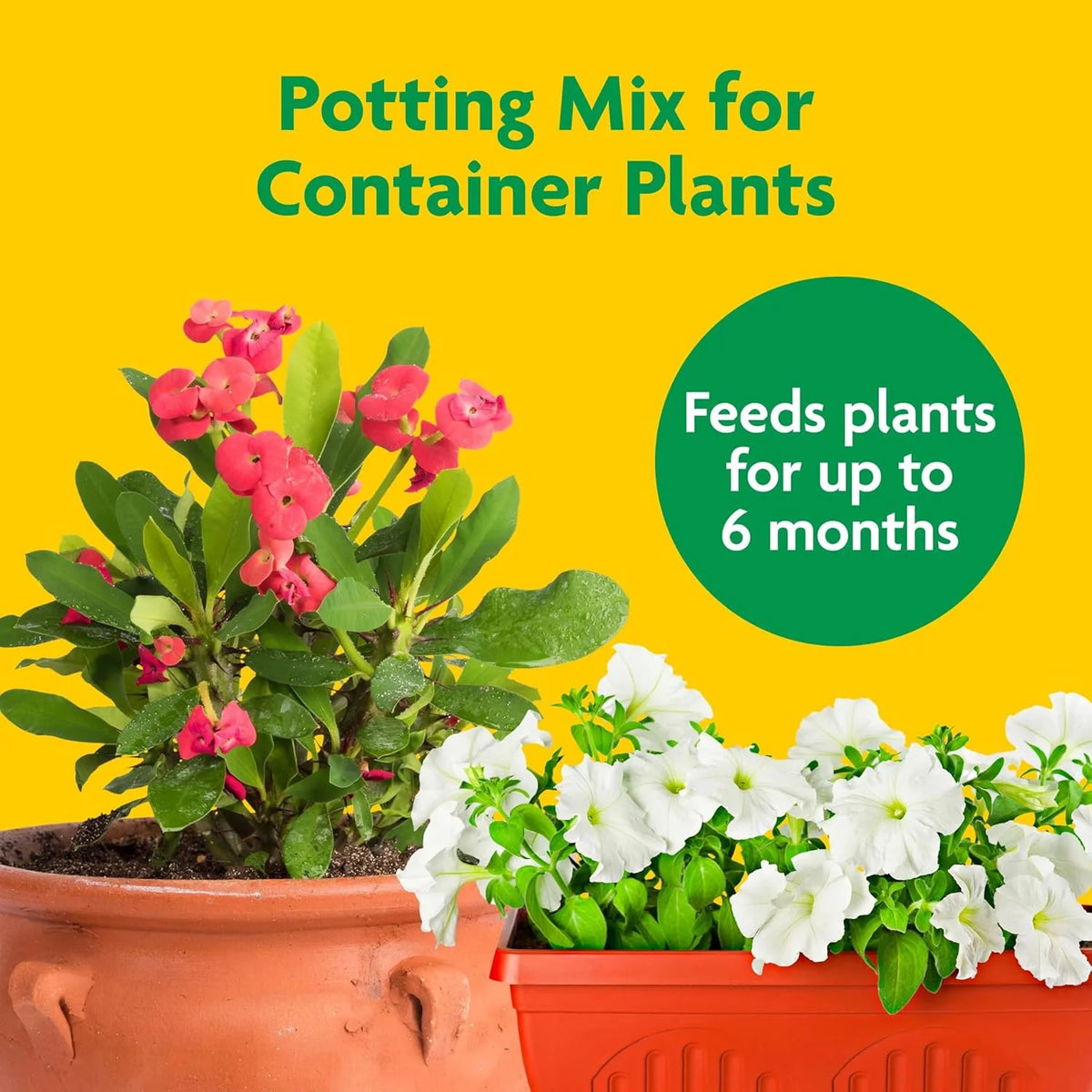 Miracle-Gro Potting Mix - For Container Plants, Flowers, Vegetables, Shrubs, Annuals, Perennials, Potting Soil Mix, Feeds up to 6 Months, 8 qt. (3-Pack)