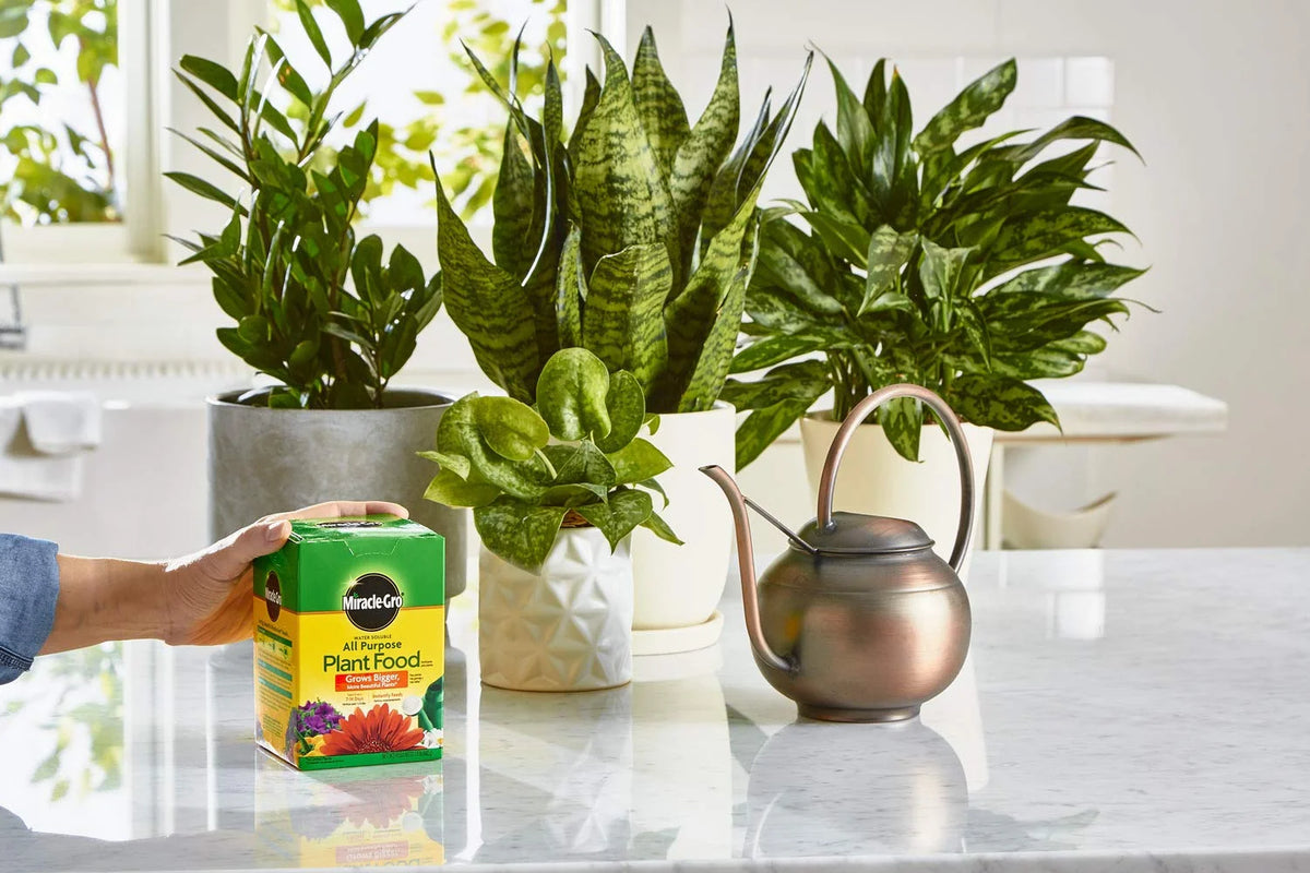 Miracle-Gro Water Soluble All Purpose Plant Food, 1.5 lbs. (6-Pack)