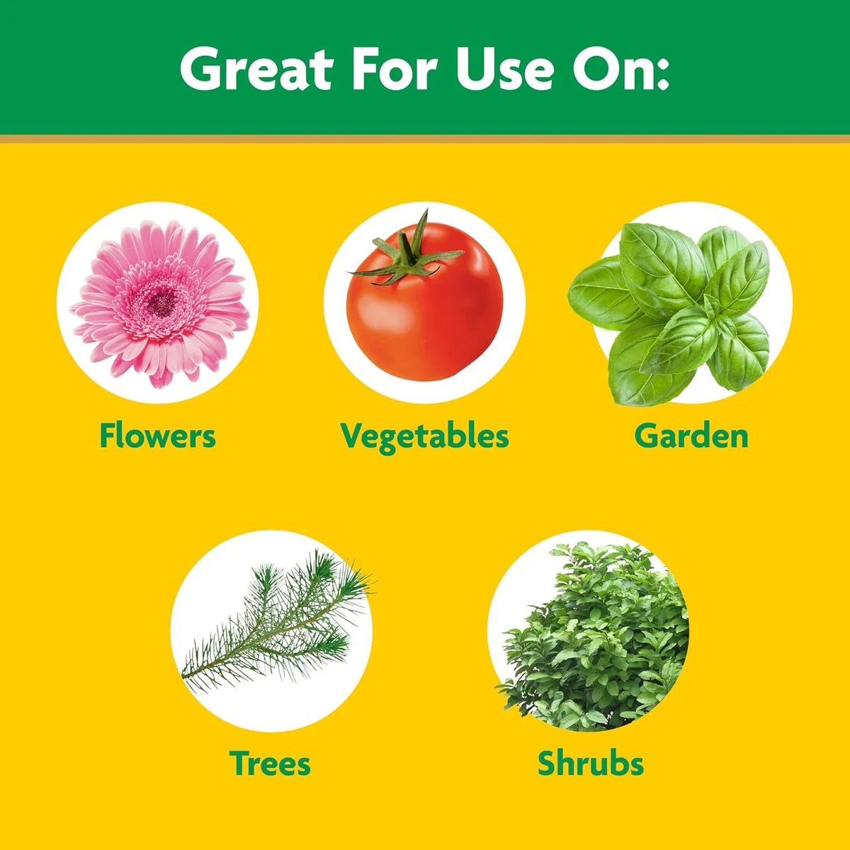 Miracle-Gro Water Soluble Tomato Plant Food and Garden Feeder Bundle