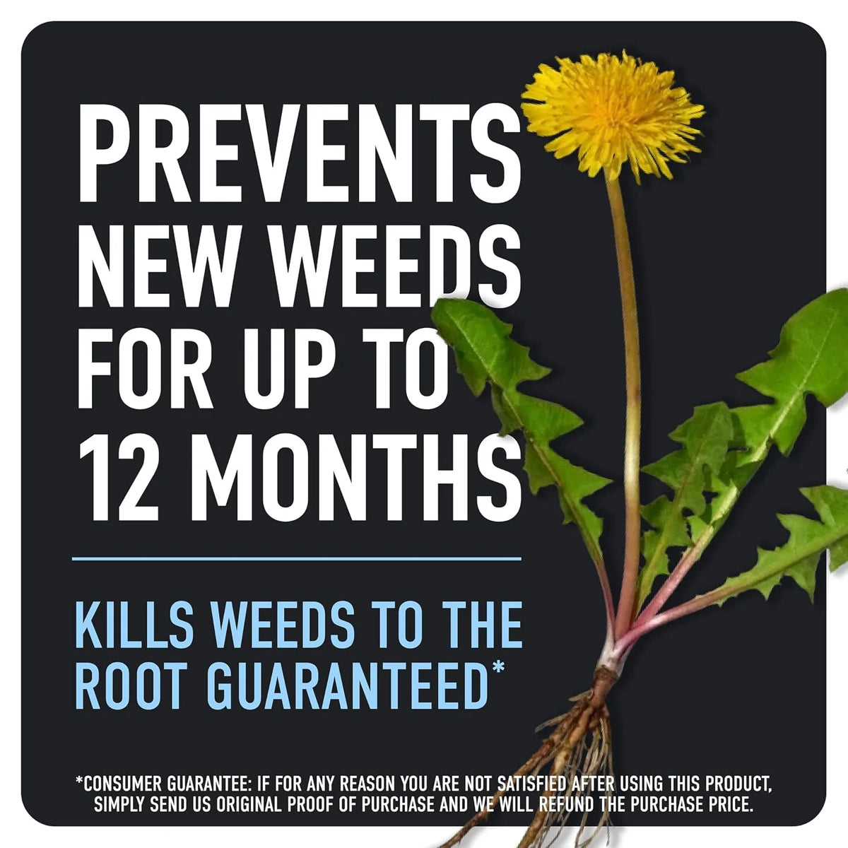 Roundup Dual Action 365 Weed & Grass Killer + 12 Mo. Preventer Concentrate