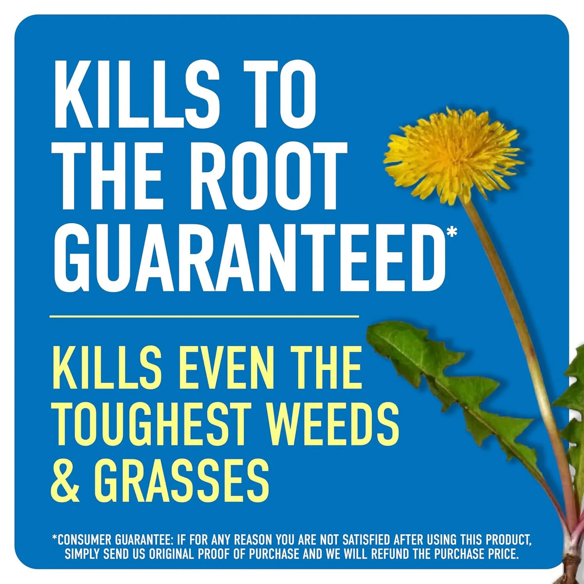 Roundup Weed & Grass Killer4 Refill, 1.25 gal.