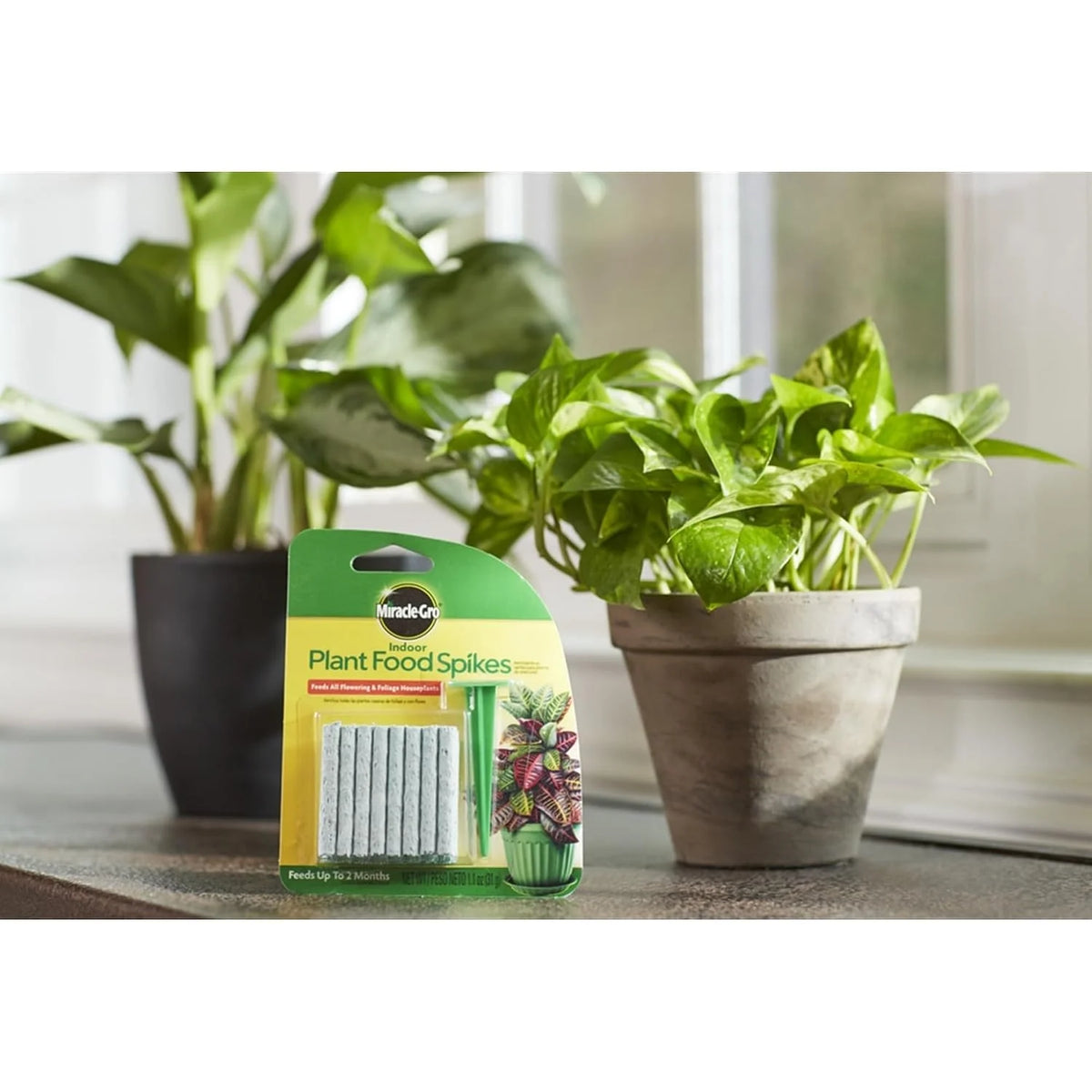 Plant Food Spikes, 6-12-6 Formula, 1.1-oz.
