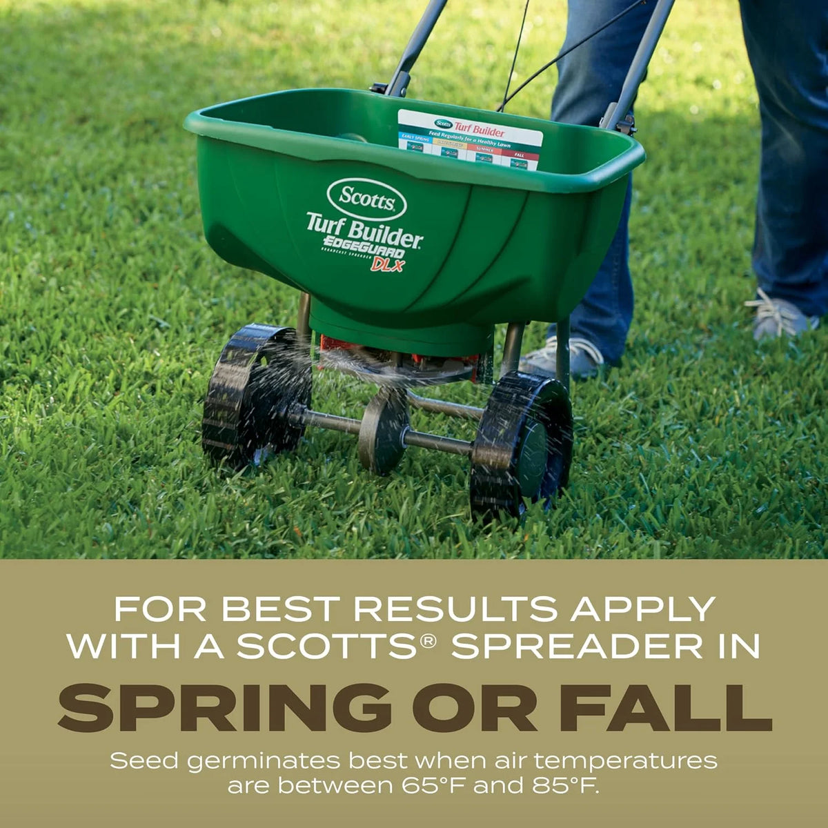 Scotts Turf Builder Grass Seed Southern Gold Mix for Tall Fescue Lawns in the South with Root-Building Nutrition, 2.4 lb.