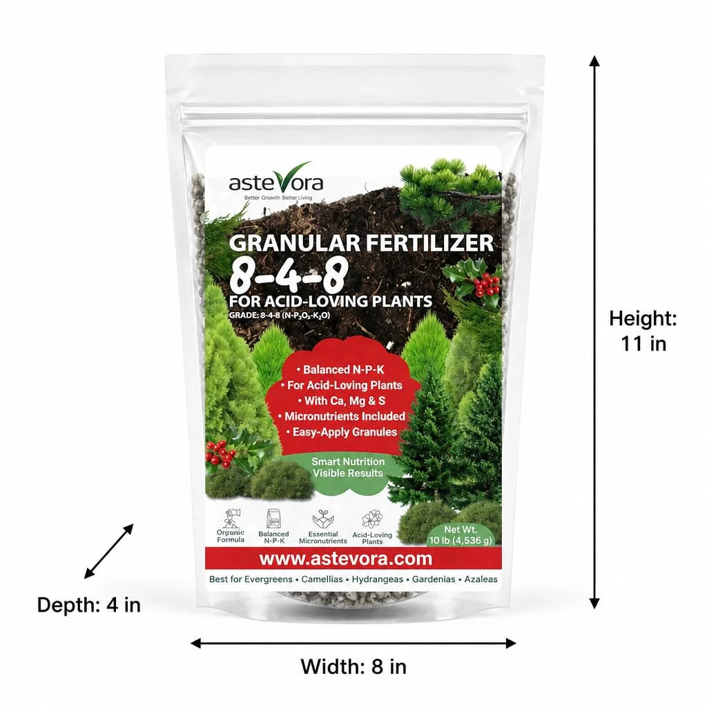 GARDENWISE 8-4-8 Acidic Fertilizer for Azaleas, Camellias (Camelia), Hydrangeas, Blueberries, Gardenias, Magnolia Trees, Evergreens, and Rhododendrons - Ideal Iron-Rich Plant Food (4 lbs~ 2 qts.)